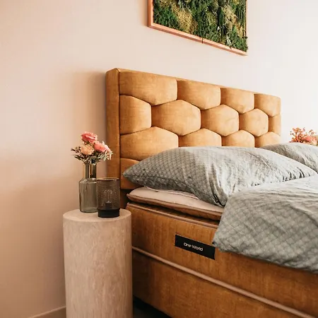 Apartman Luxury Wellness Fonyodliget *