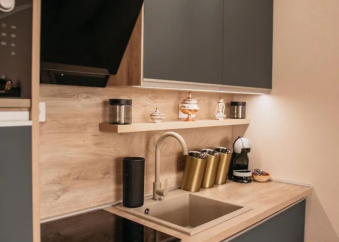 Luxury Wellness Fonyodliget Lejlighed