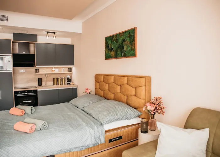 Luxury Wellness Fonyodliget Lejlighed Fonyód